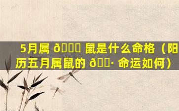 5月属 🐅 鼠是什么命格（阳历五月属鼠的 🌷 命运如何）